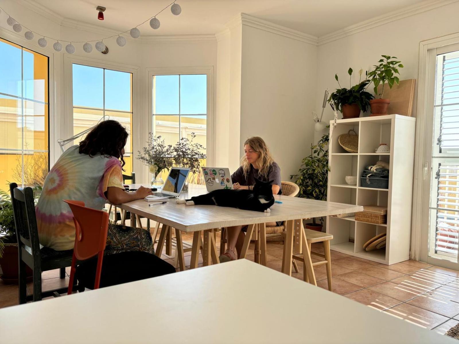 Medano Beach Coliving El Médano Kültér fotó
